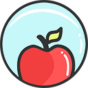 BIBLE BELIEVERS CHRISTIAN SCHOOL Favicon