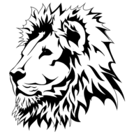 BETHEL HOLINESS ACADEMY Favicon