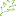 OAKDALE CHRISTIAN ACADEMY Favicon
