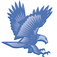BLUE MOUNTAIN VIEW PAROCH SCHOOL Favicon