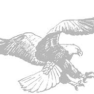 CLEAR LAKES CHRISTIAN ACADEMY Favicon