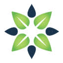 PIPESTEM CHRISTIAN ACADEMY Favicon