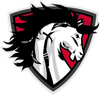 NORTHLAND CHRISTIAN EDUCATION SYSTEM Favicon
