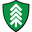 PINEWOOD CHRISTIAN ACADEMY Favicon