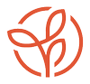 VALOR CHRISTIAN SCHOOL INTERNATIONAL Favicon