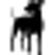 WOLF CREEK ACADEMY Favicon